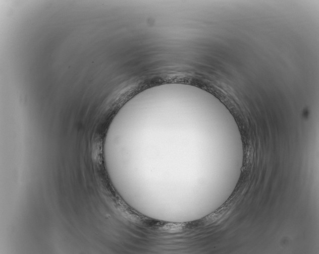 X0000094190138200710261003