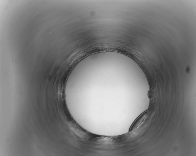 X0000094190140200710261003