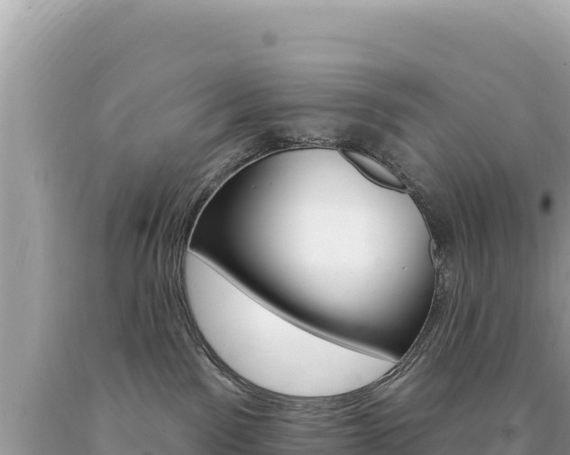 X0000094190141200710261003