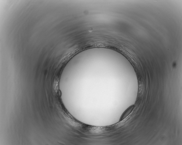 X0000094190142200710261003