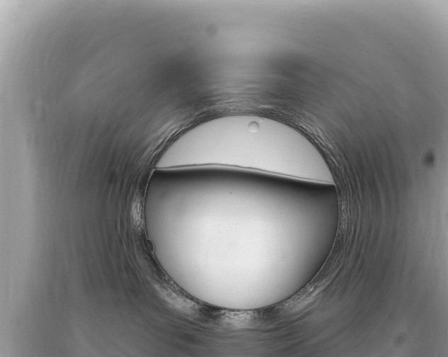 X0000094190143200710261003