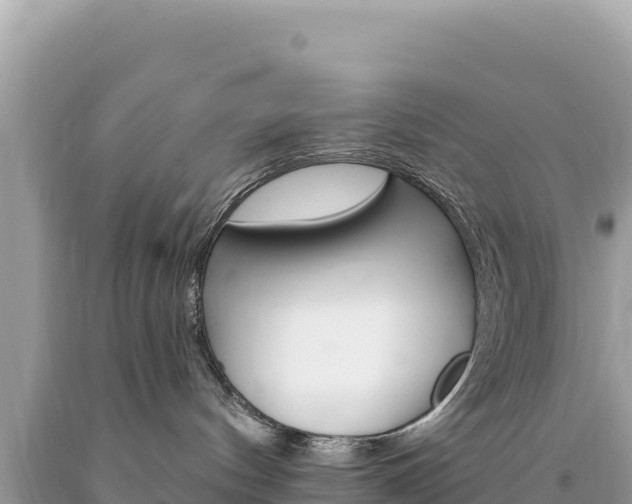 X0000094190144200710261003
