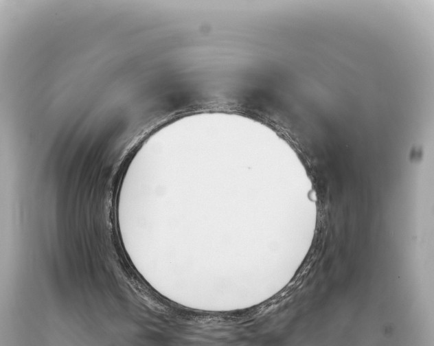 X0000094190146200710261002