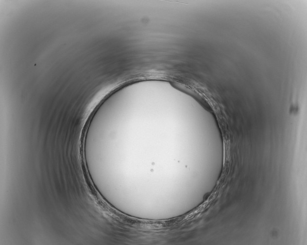 X0000094190147200710261002