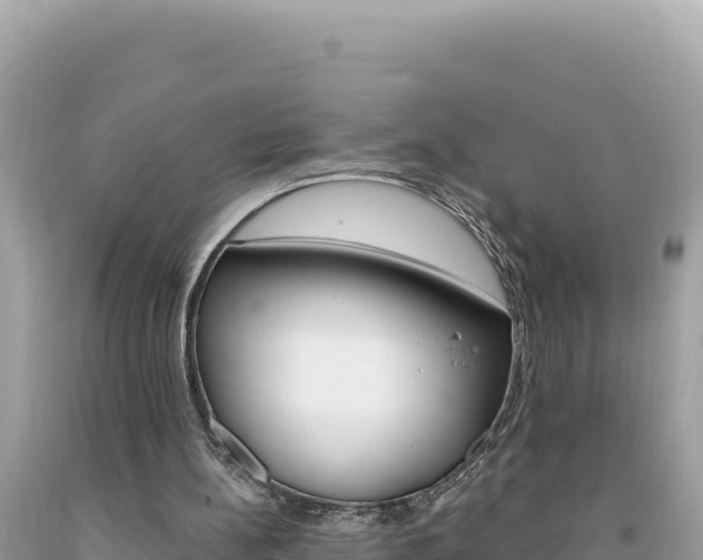 X0000094190148200710261002