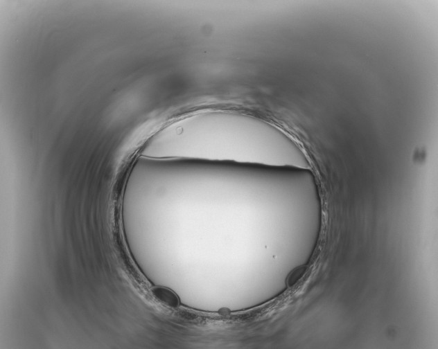 X0000094190149200710261002