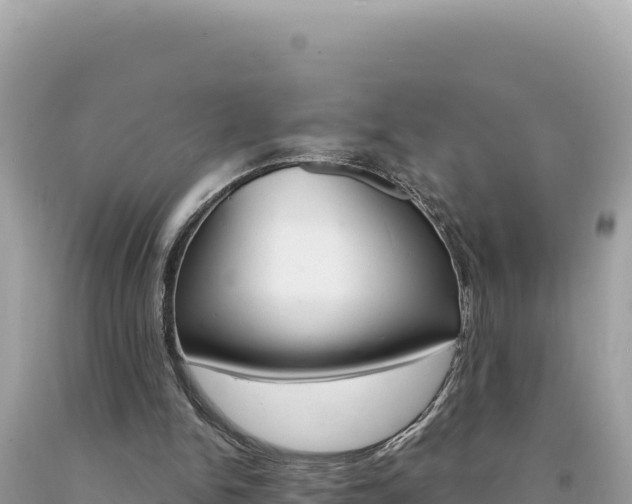 X0000094190150200710261002