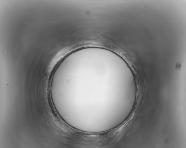 X0000094190151200710261002