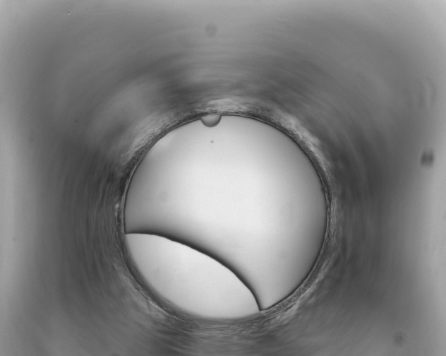 X0000094190153200710261002