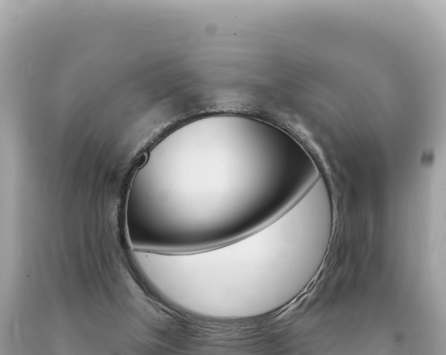 X0000094190154200710261002