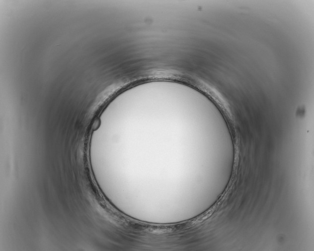 X0000094190155200710261002