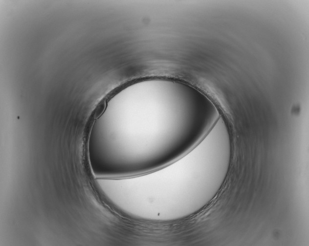 X0000094190156200710261002