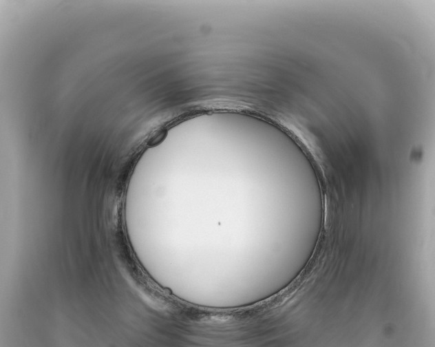 X0000094190157200710261002