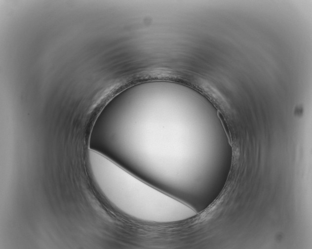 X0000094190158200710261002