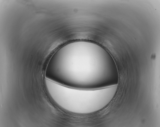 X0000094190160200710261002