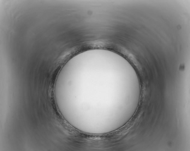 X0000094190161200710261002