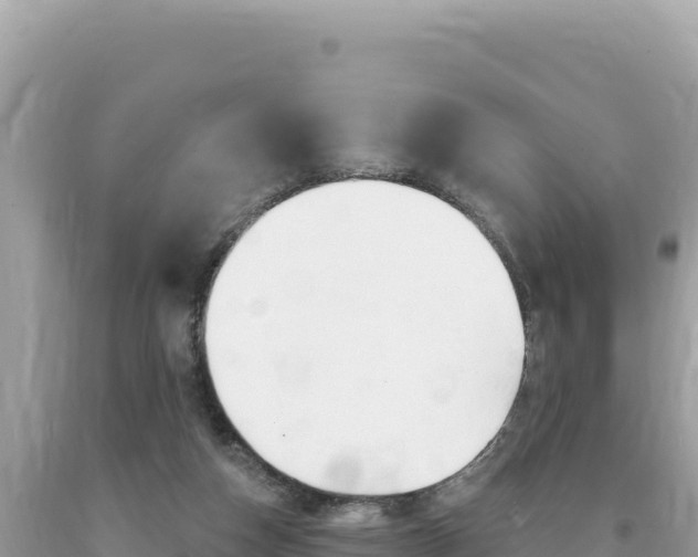 X0000094190162200710261002