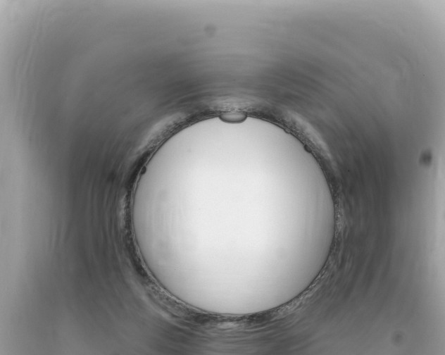X0000094190163200710261002