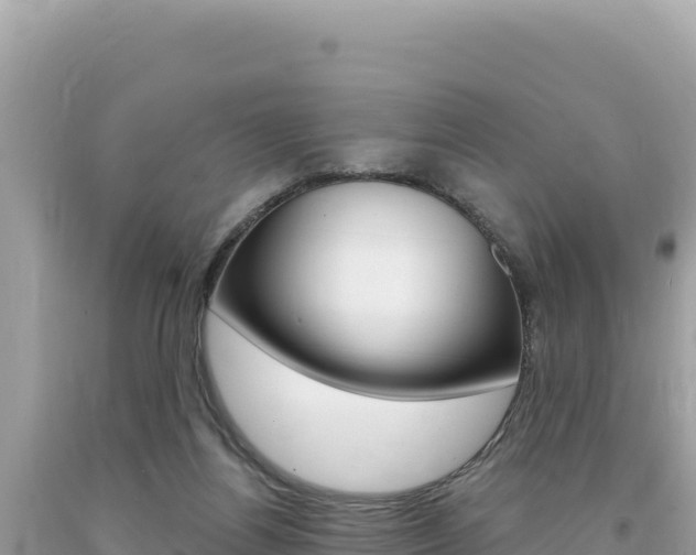 X0000094190164200710261003