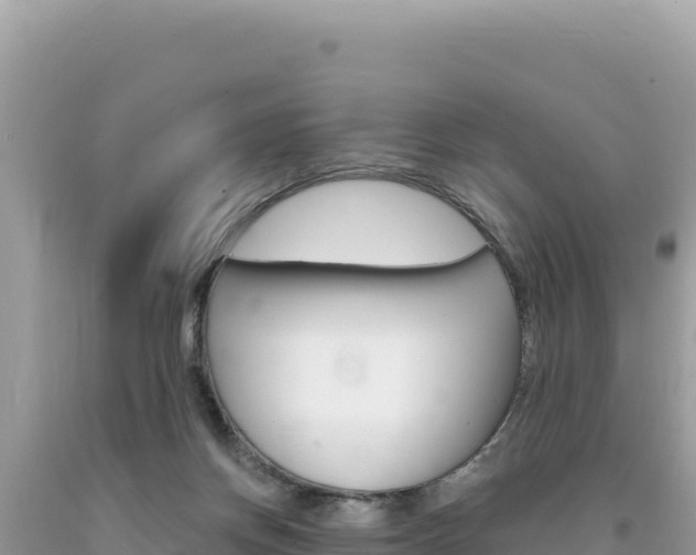 X0000094190166200710261003