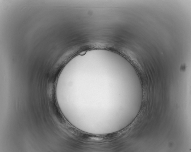 X0000094190167200710261003