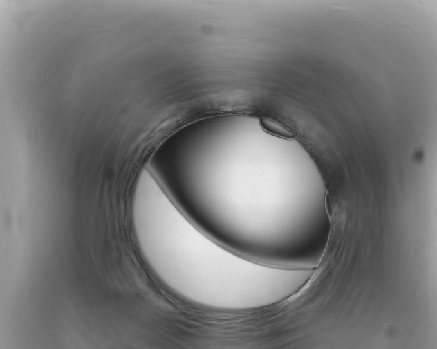 X0000094190170200710261003