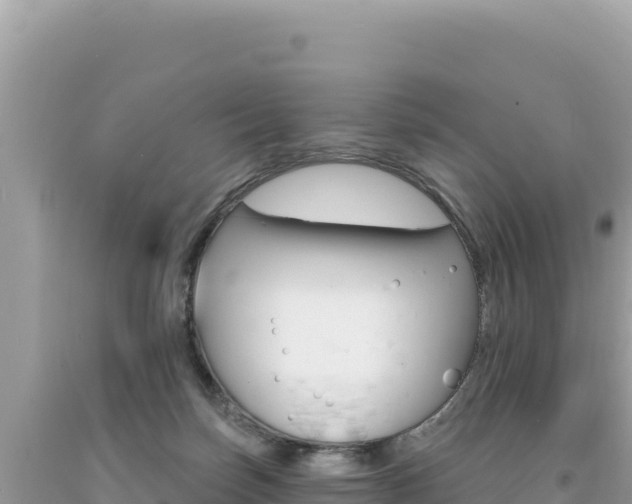 X0000094190171200710261003