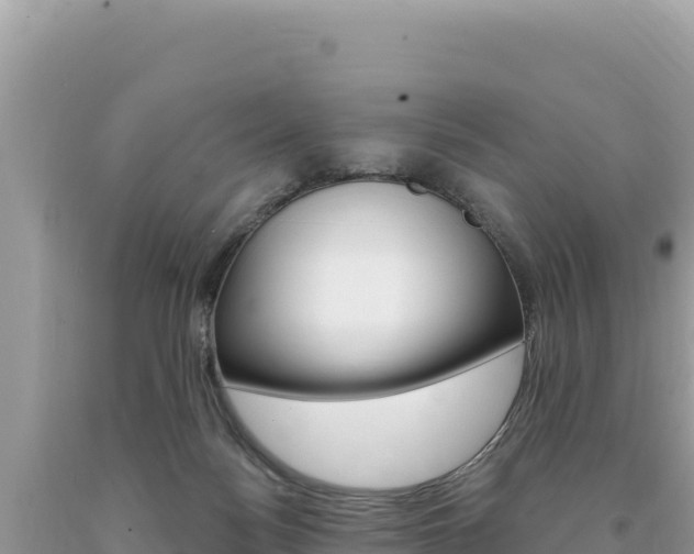X0000094190172200710261003