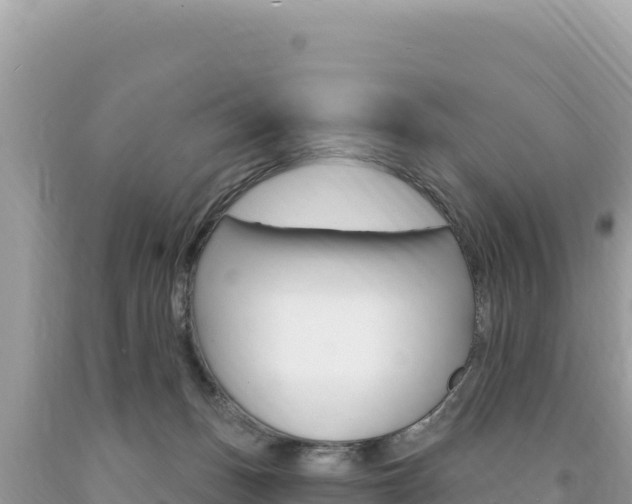 X0000094190175200710261003