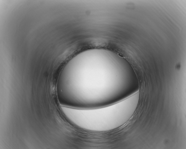 X0000094190176200710261003