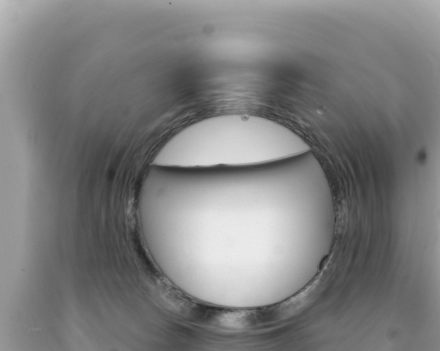 X0000094190178200710261003