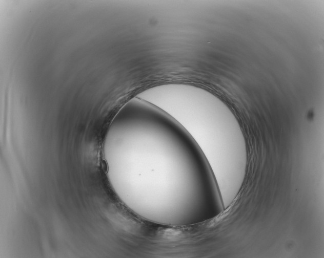 X0000094190180200710261003