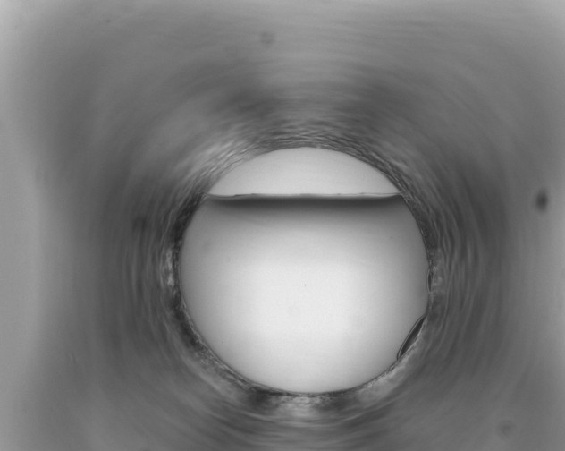 X0000094190182200710261003