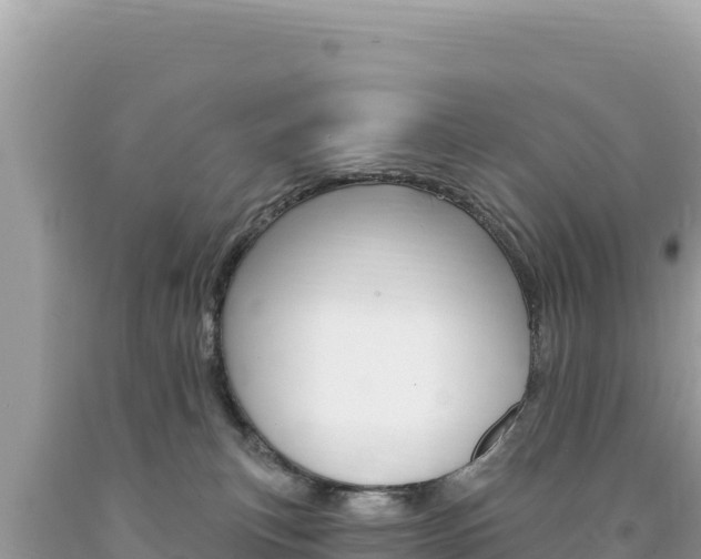 X0000094190183200710261003