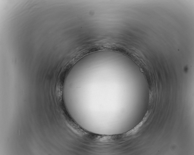 X0000094190186200710261003