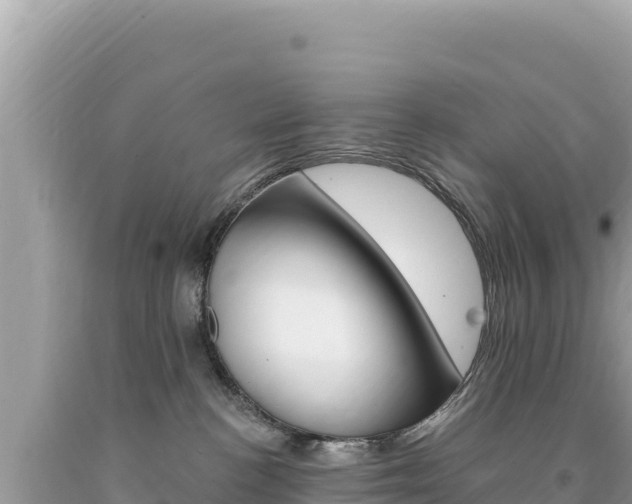 X0000094190188200710261003