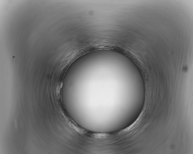 X0000094190192200710261003