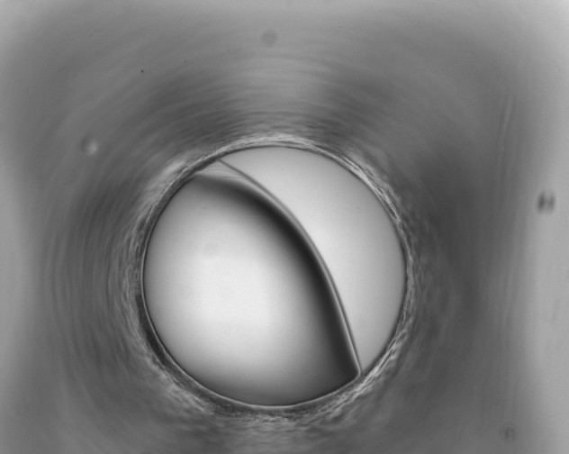 X0000094190193200710261002