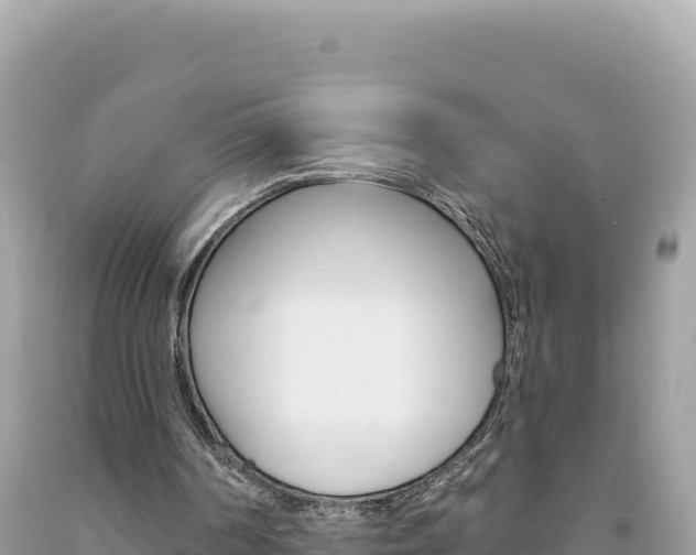 X0000094190194200710261002