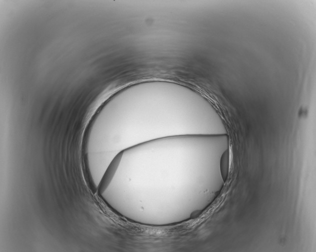 X0000094190195200710261002
