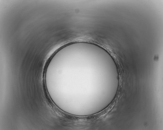 X0000094190196200710261002