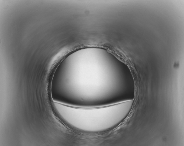 X0000094190197200710261002