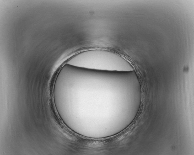 X0000094190198200710261002