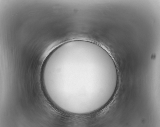 X0000094190199200710261002