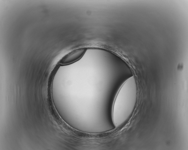 X0000094190200200710261002