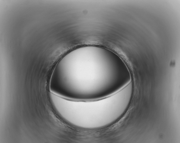 X0000094190201200710261002