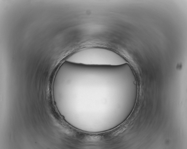 X0000094190202200710261002