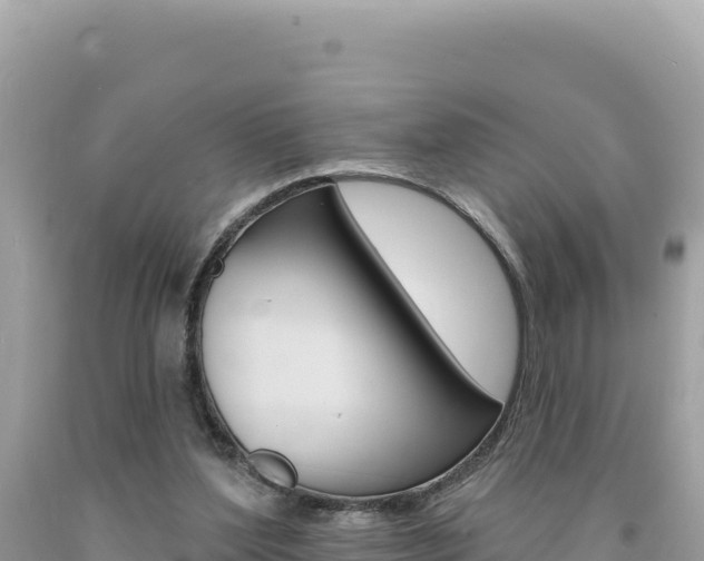 X0000094190204200710261002