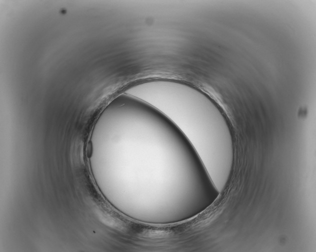 X0000094190205200710261002
