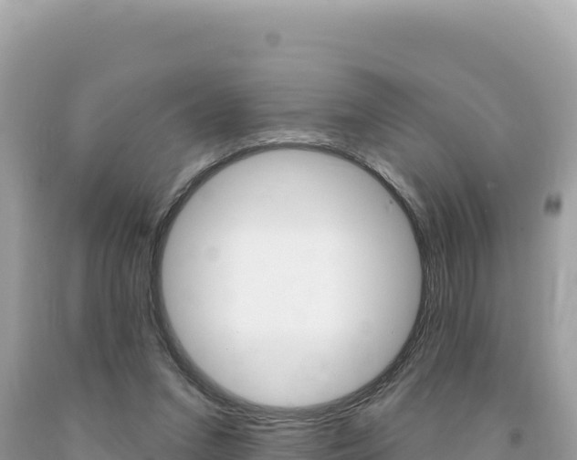 X0000094190207200710261002